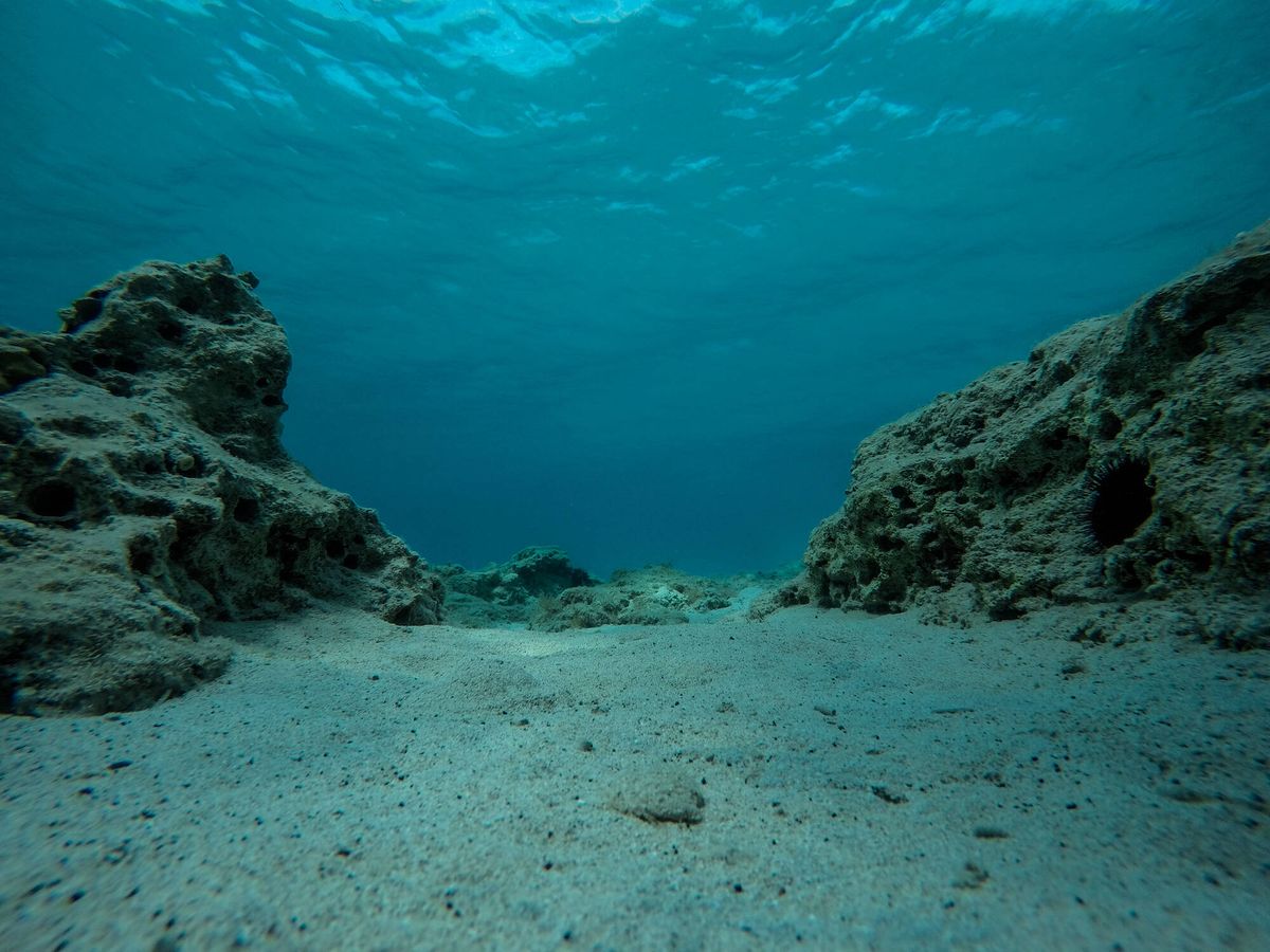 Foto: El agua de las profundidades de los océanos continúa absorbiendo el 'exceso de calor' creado por los humanos (Fuente: iStock).