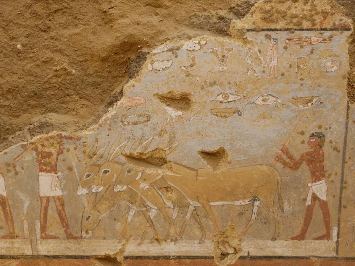 Foto: Imágenes de la tumba encontrada. (Ministerio de Turismo de Egito)
