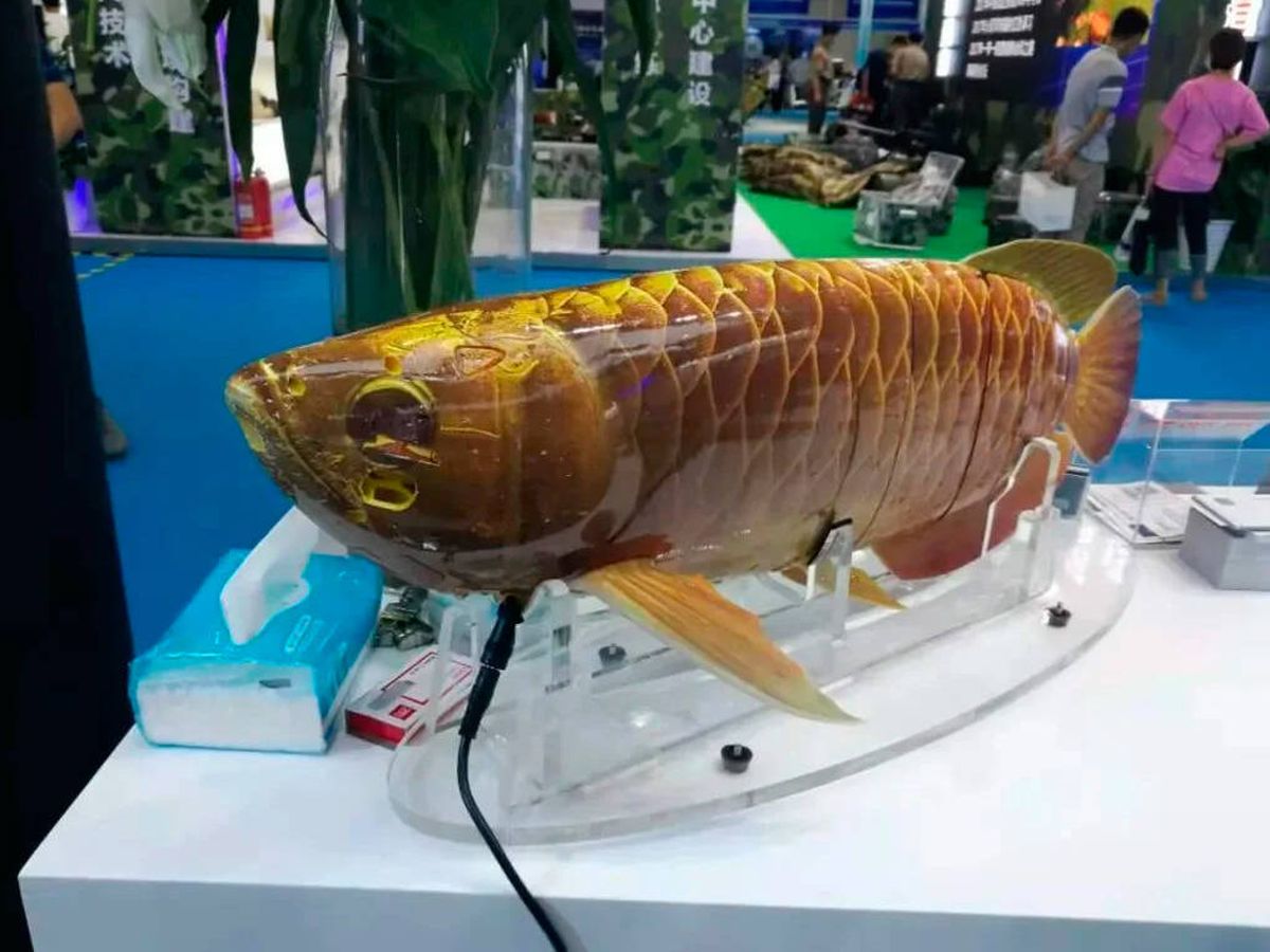 Foto: El dron hiperrealista con forma de pez de la empresa china Boya Gongdao (YouTube)