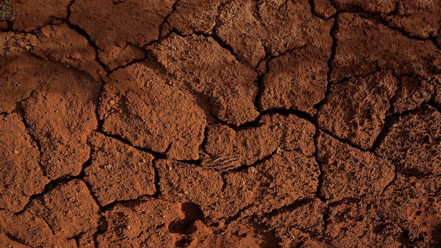 La salinidad del suelo, uno de los mayores riesgos. Foto: Unsplash