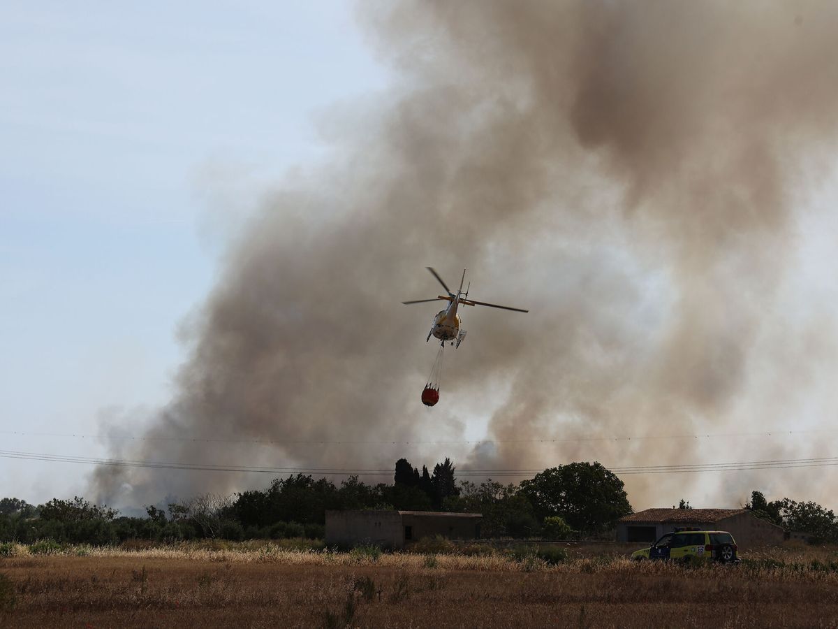 Foto: Un helicóptero sobrevuela la zona afectada por el incendio en s'Albufera (Mallorca). (Europa Press/Isaac Buj)