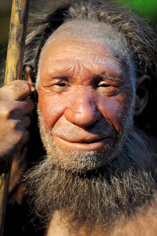Reconstrucción de un neandertal. (EFE)