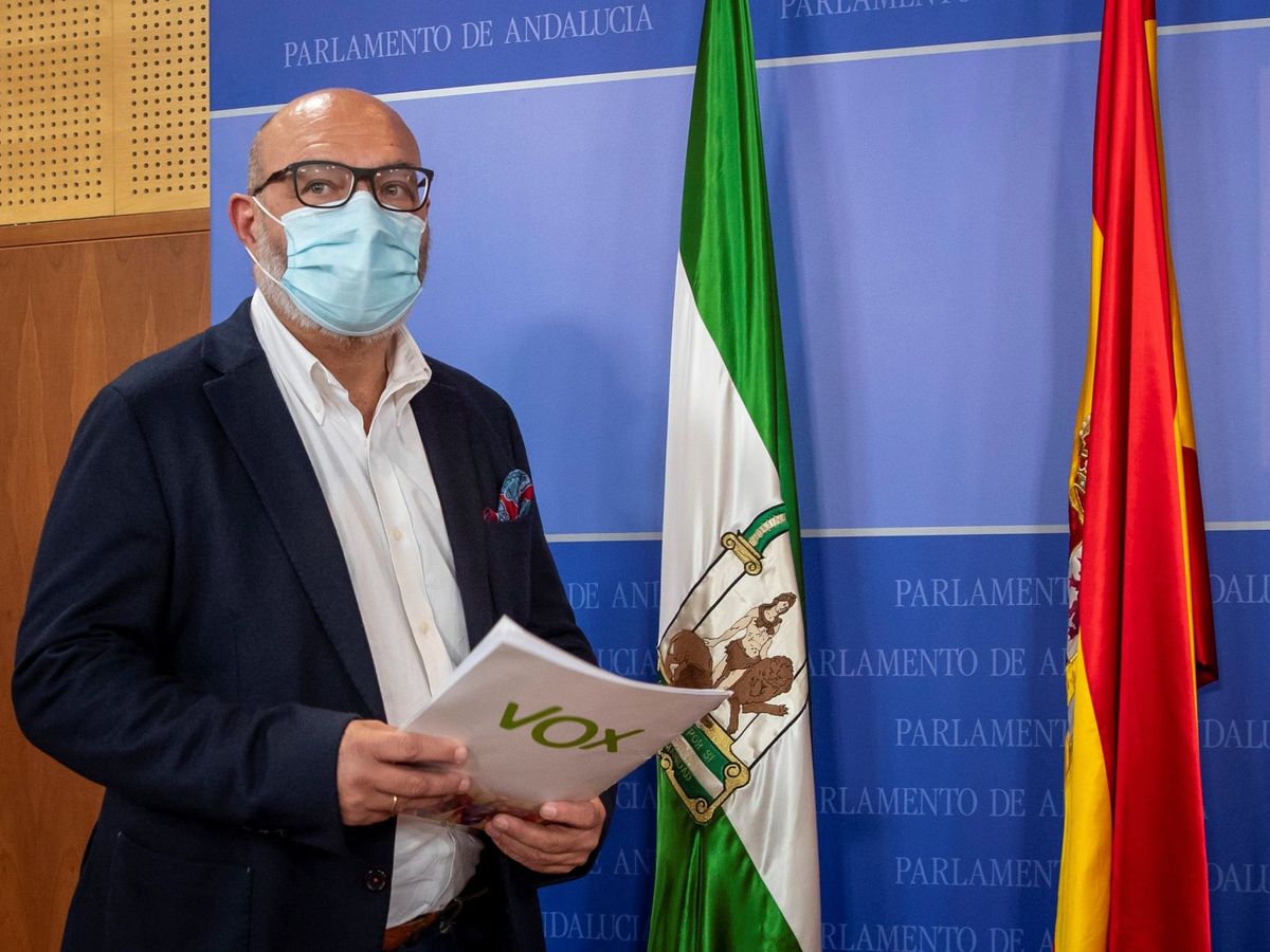 Foto: El portavoz parlamentario de Vox en Andalucía, Alejandro Hernández. (EFE)