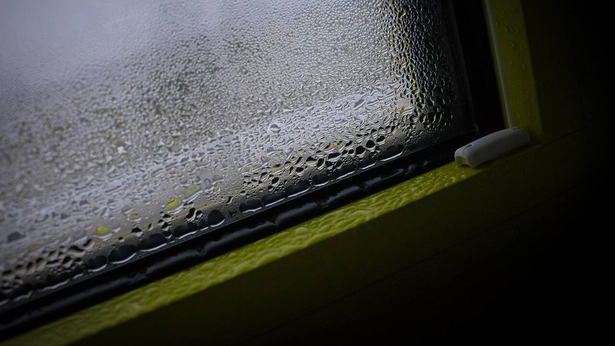 Cómo evitar que las ventanas se empañen: el truco para eliminar la condensación de agua 