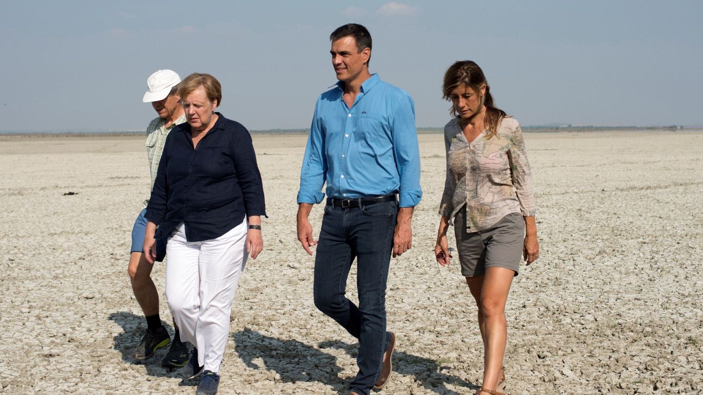 Pedro Sánchez y Begoña junto con Angela Merkel y su marido Joachim Sauer en Doñana. (EFE)