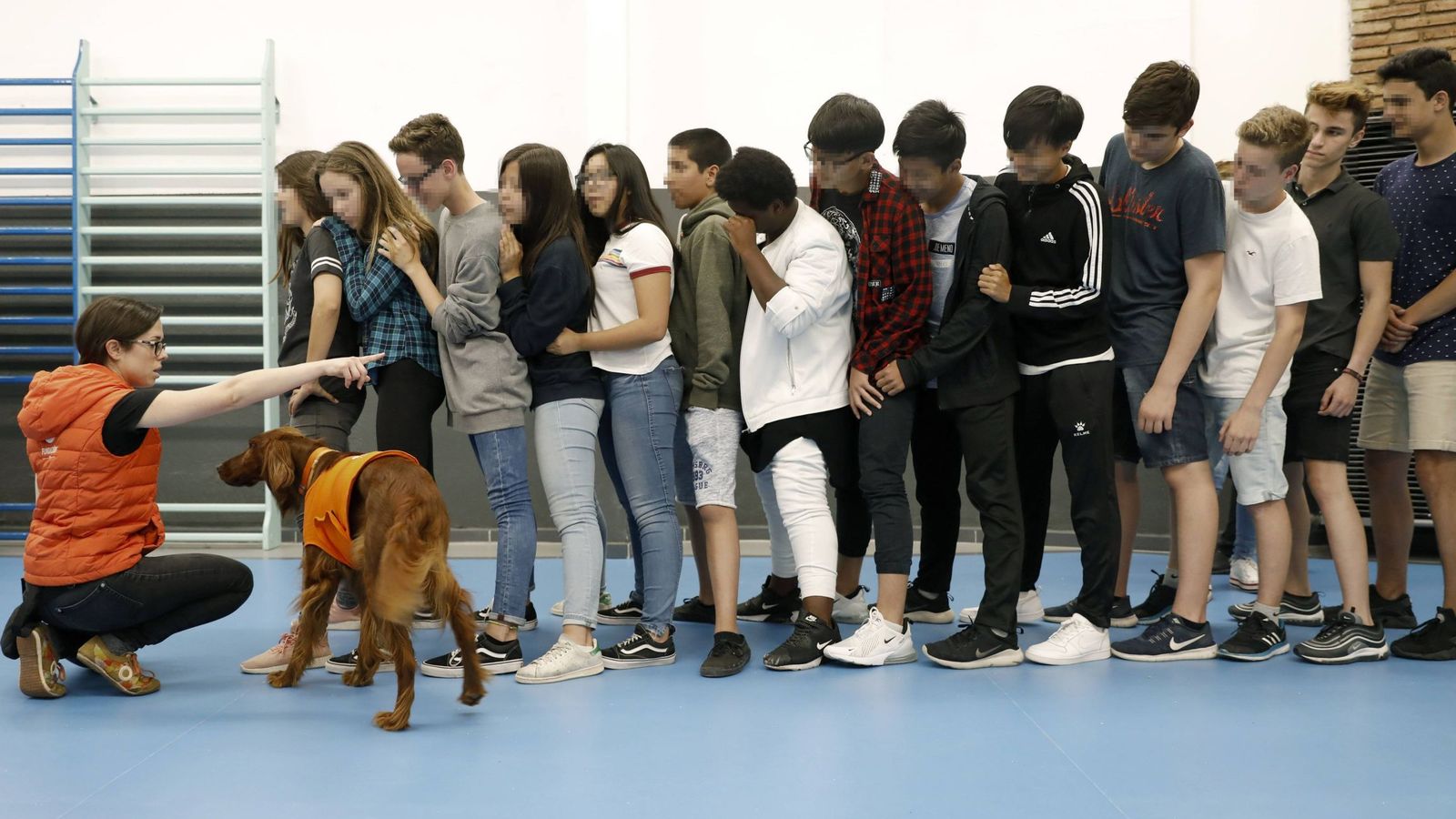 Foto: La Fundación Affinity y la escuela Lleó XIII de Barcelona, durante un ejercicio de terapia con perros para prevenir el acoso en las aulas. (EFE)