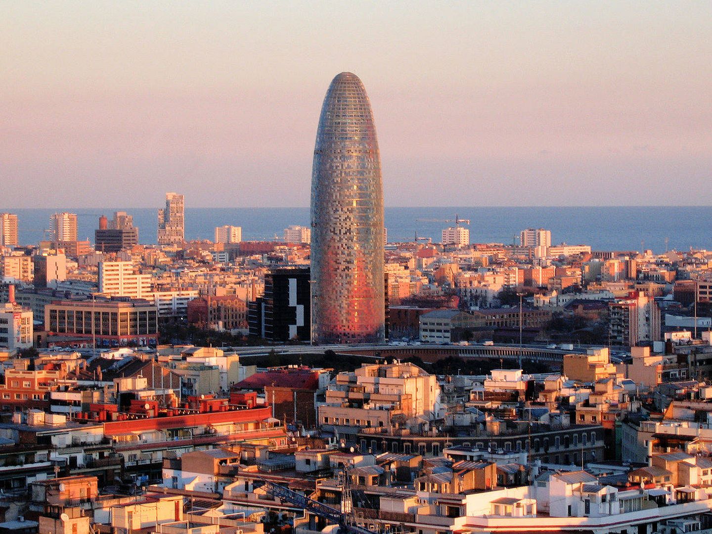 La torra Agbar de Barcelona ha sido catalogada como 'edificio enfermo' por su ambiente interior. (EFE)