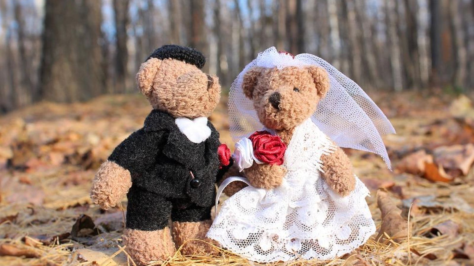 Foto: Desde terrazas de hotel hasta fincas rurales: 10 lugares de ensueño para celebrar tu boda. (CC/Pixabay)
