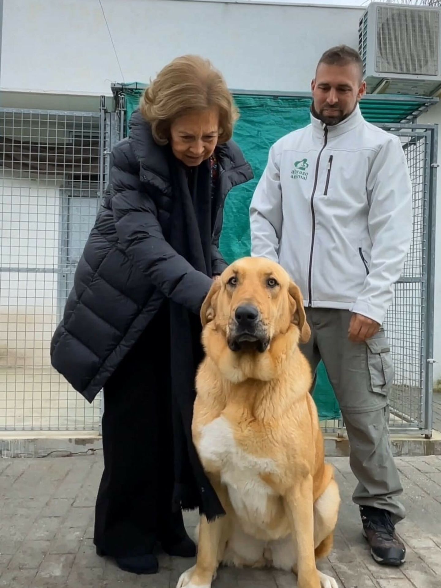 La reina Sofía con uno de los perros del centro. (Europa Press)