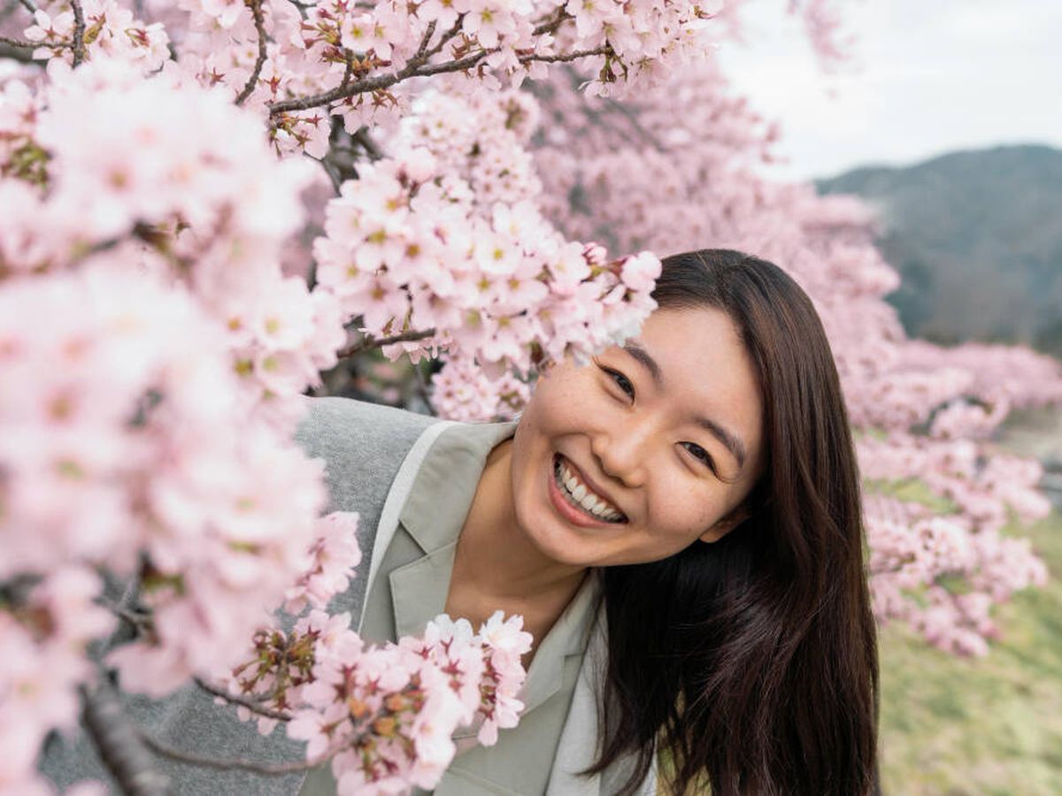 Foto:  Tres hábitos japoneses para conseguir la felicidad: Shinrin-Yoku, el Ikigai y el Omotenashi(Freepik)