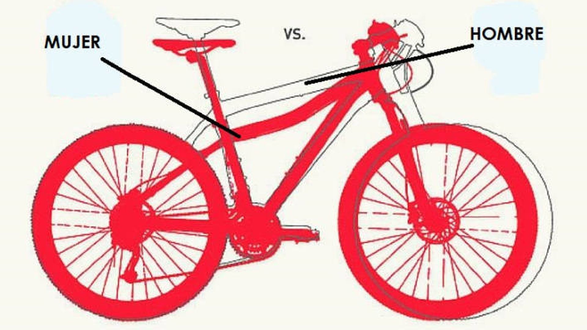 Diferencias estructurales entre una bicicleta femenina y masculina.