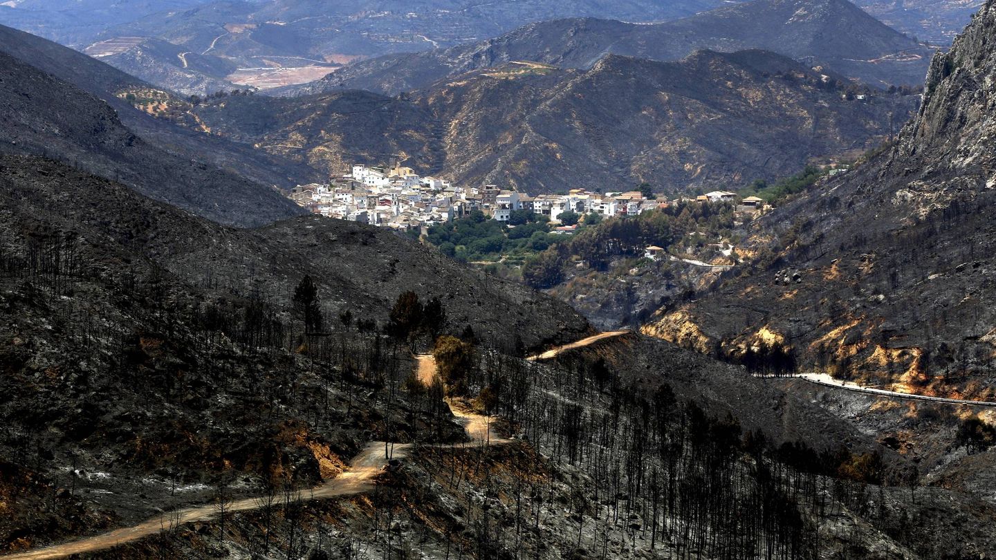 Parte del paisaje quemado por el megaincendio de Andilla (Valencia) en 2012.(EFE)