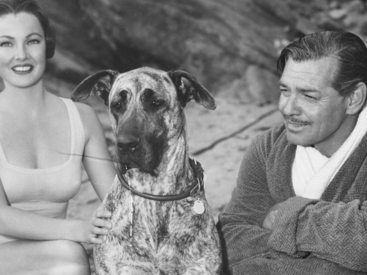 Foto: Gene Tierney y Clark Gable, en el rodaje de 'Nunca me abandones'. (Getty)