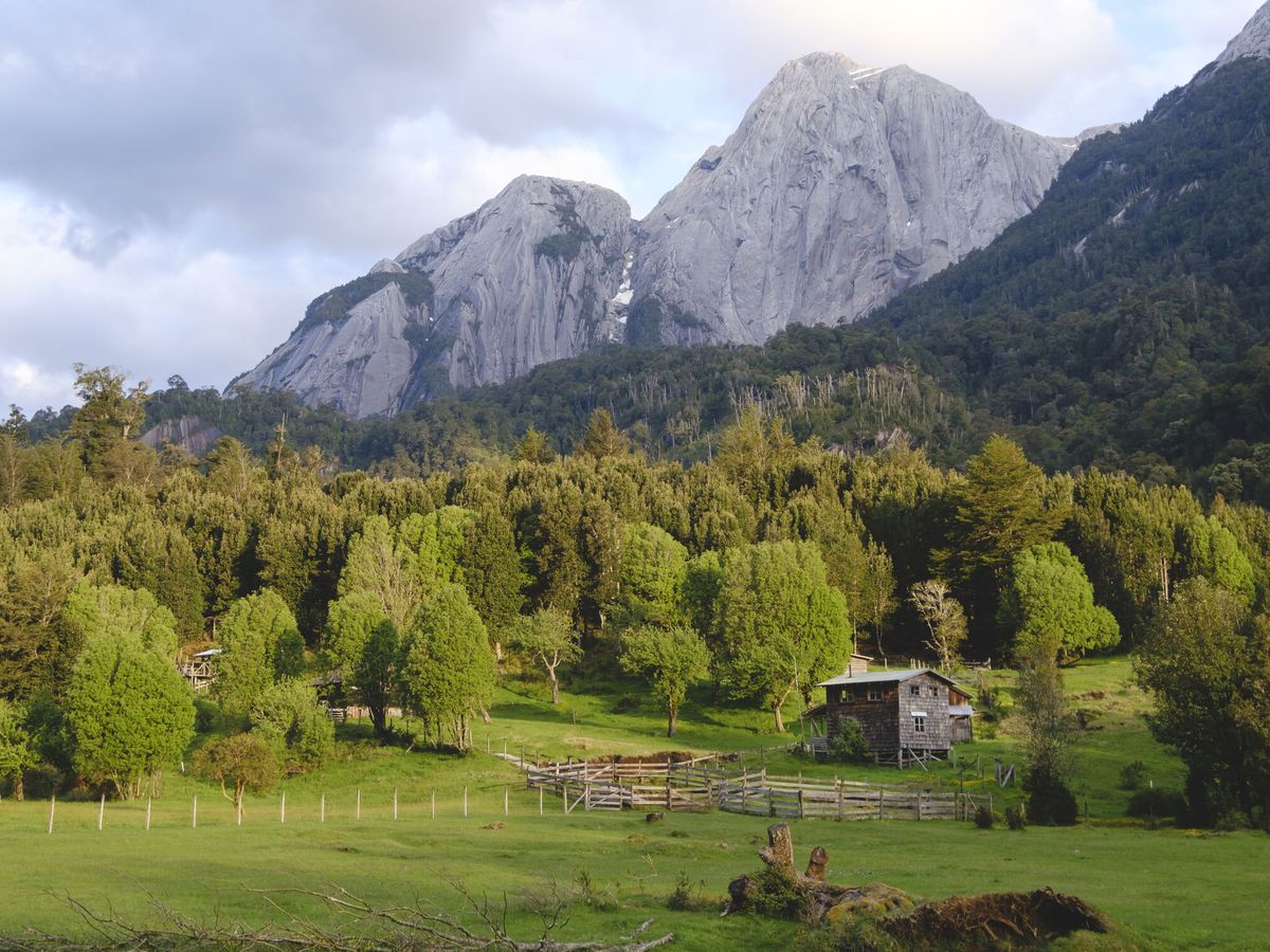 Foto: Ecologistas buscan millones de euros para comprar un paraje natural a un millonario en Chile (EFE/Rodrigo Manns)