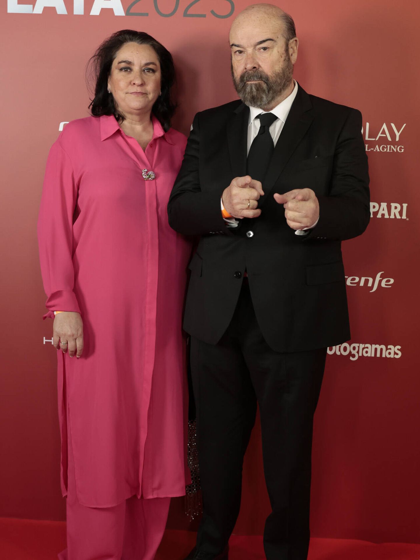 Antonio Resines y su esposa, Ana Pérez-Lorente, en la alfombra roja de los premios Fotogramas de Plata 2023. (Gtres)