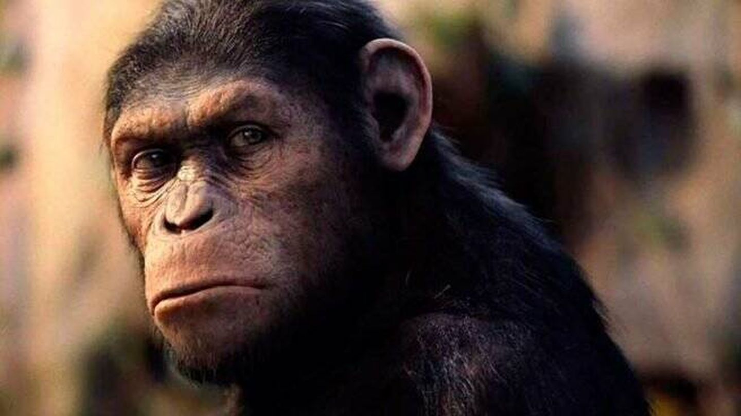 El orangután Ken Allen del mundo de la ficción. (Fotograma de 'El Planeta de los Simios')