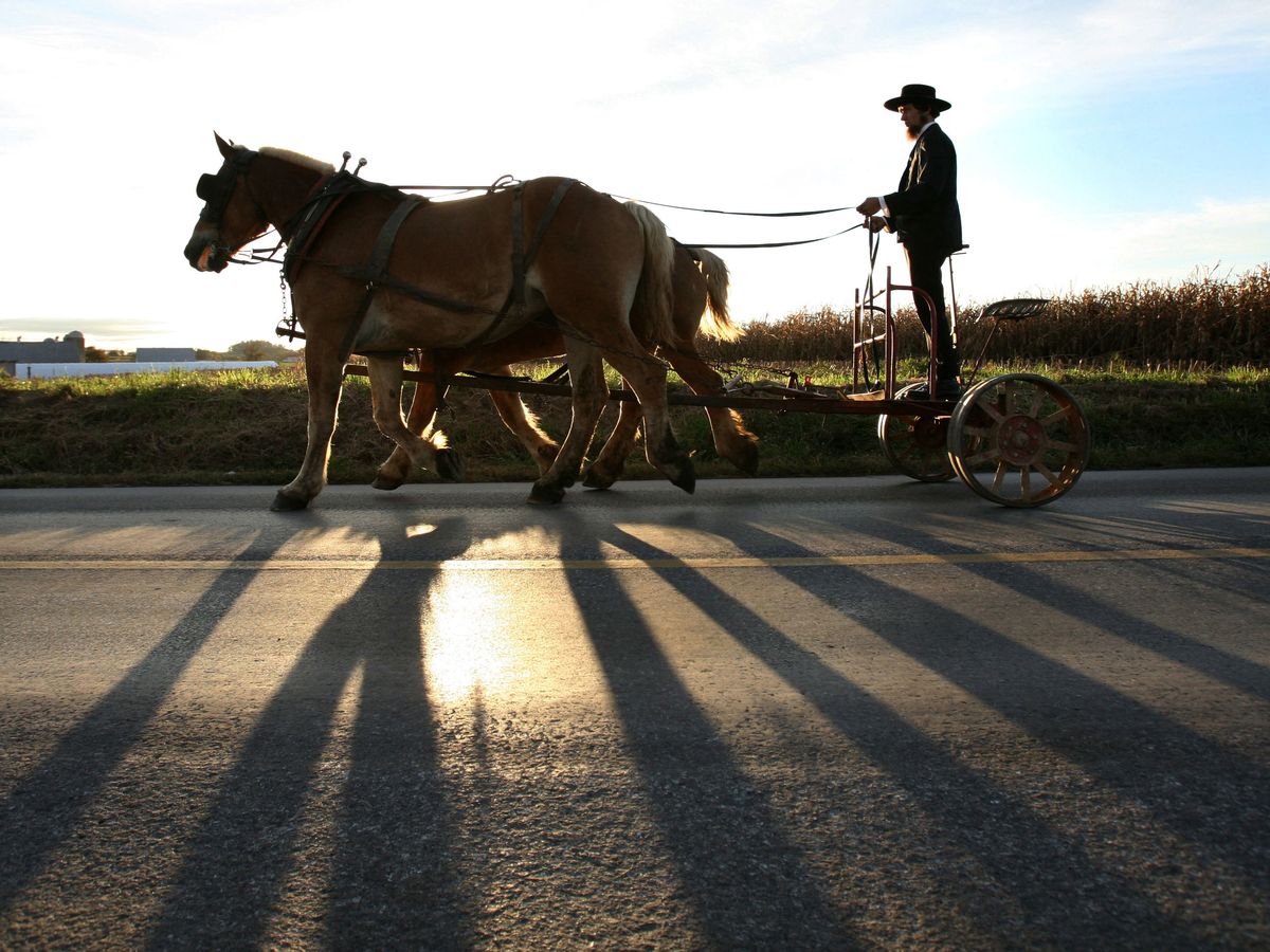 Foto: Un amish de Pensilvania con su carreta. (Reuters)