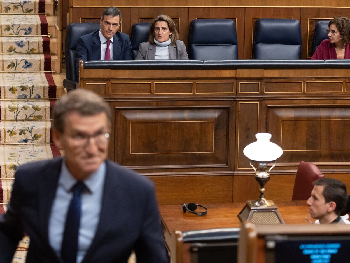 Foto: El líder del PP, Alberto Núñez Feijóo, de espaldas al presidente del Gobierno, Pedro Sánchez, en el Congreso. (Europa Press/Eduardo Parra)