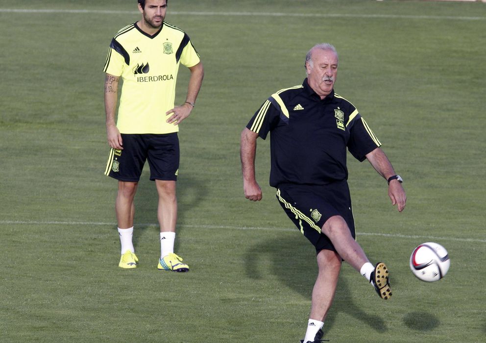 Foto: Del Bosque y Cesc, durante un entrenamiento de la Selección (EFE)