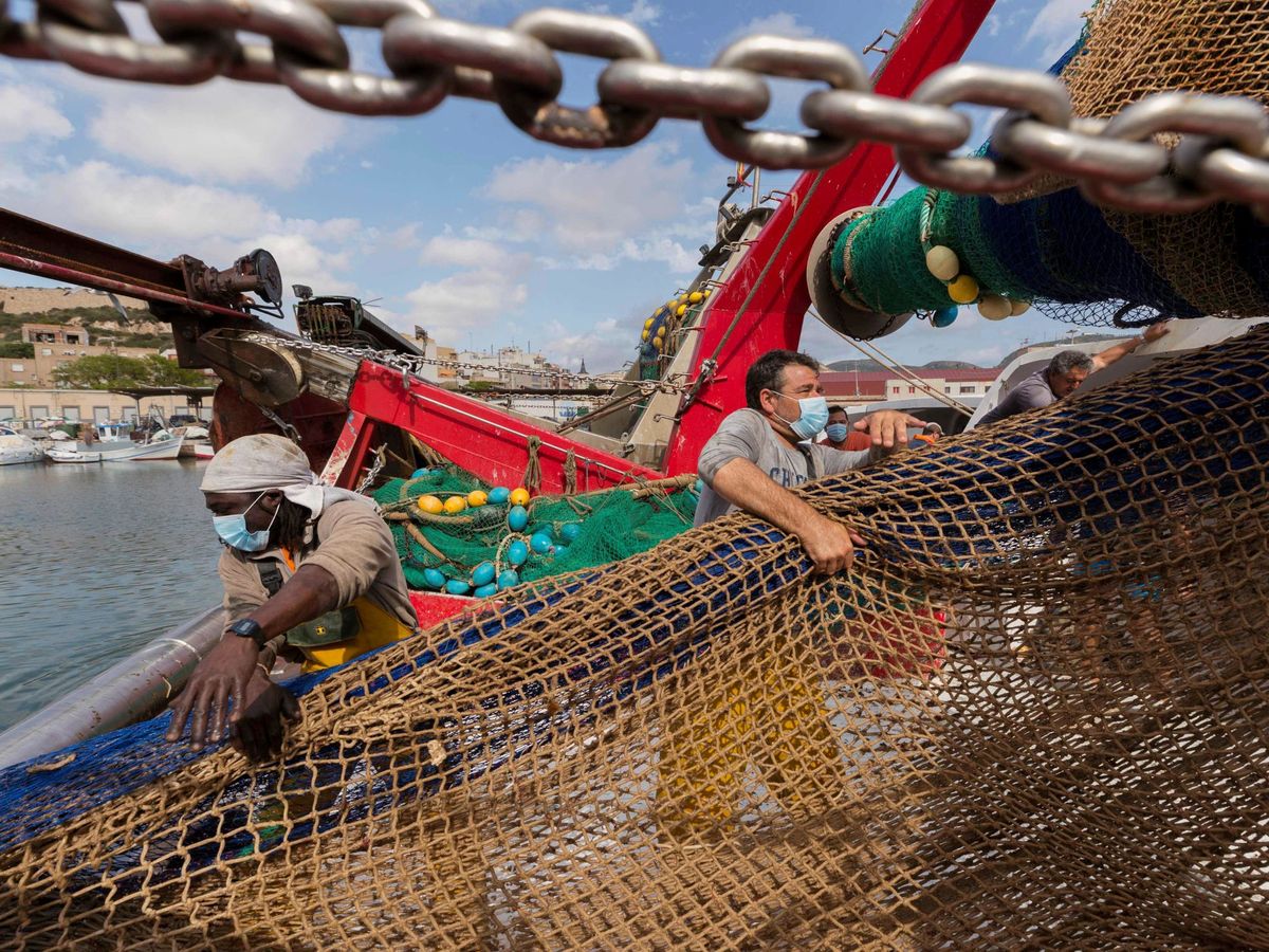 Foto: Pescadores recogiendo redes. (EFE/Marcial Guillén)
