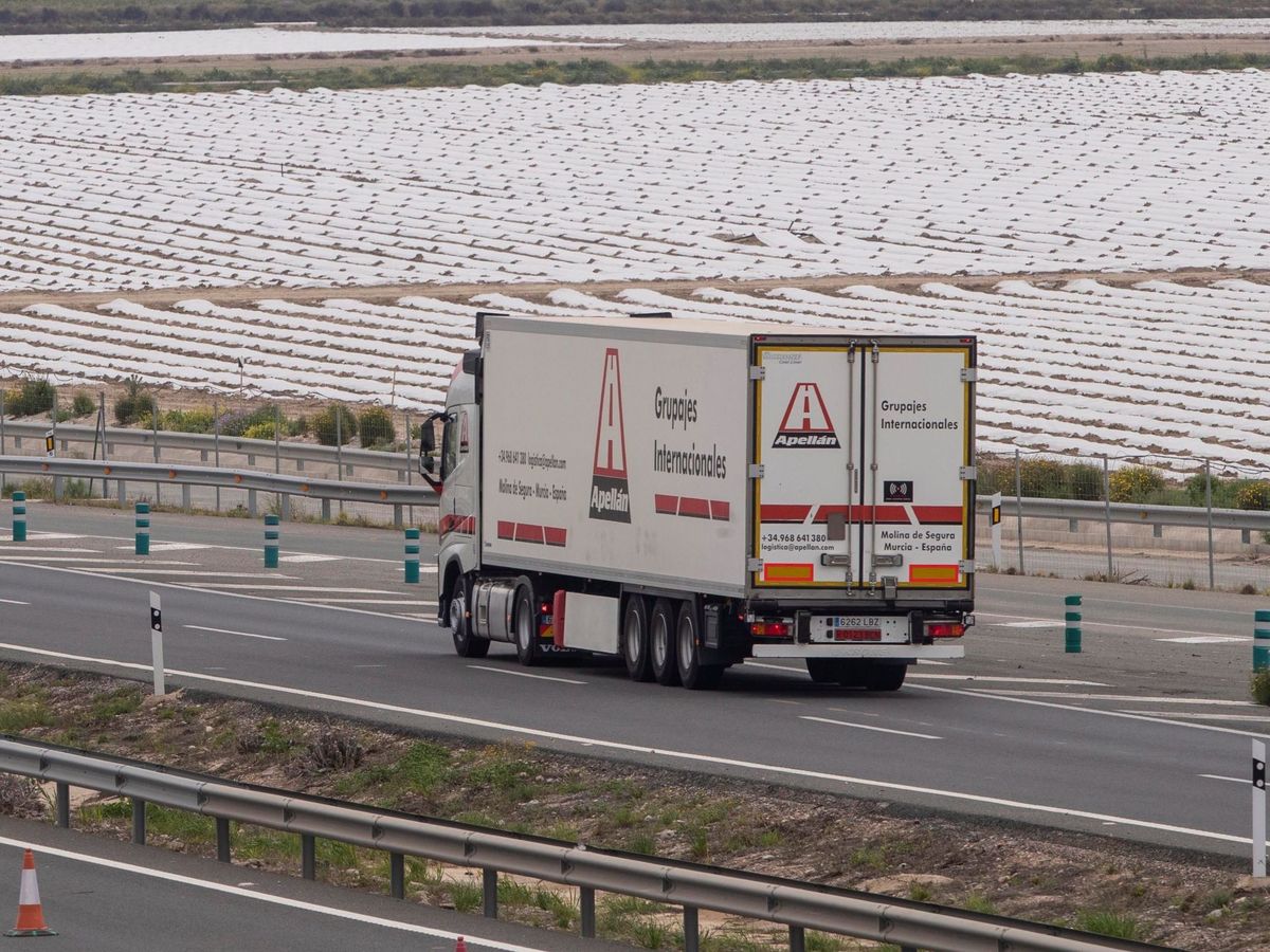 Foto: Un camión frigorífico circula por la A-30, que une Cartagena con Albacete. (EFE) 