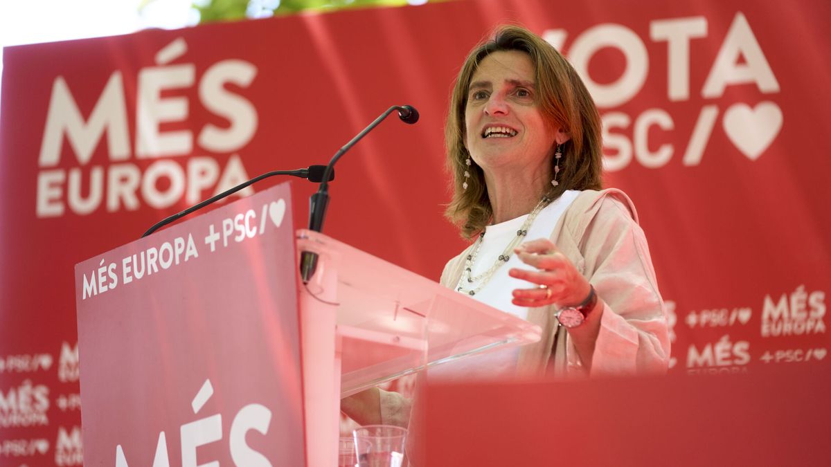El CIS de Tezanos insiste en la victoria del PSOE el 9-J, aunque el PP recorta distancia en casi 3 puntos