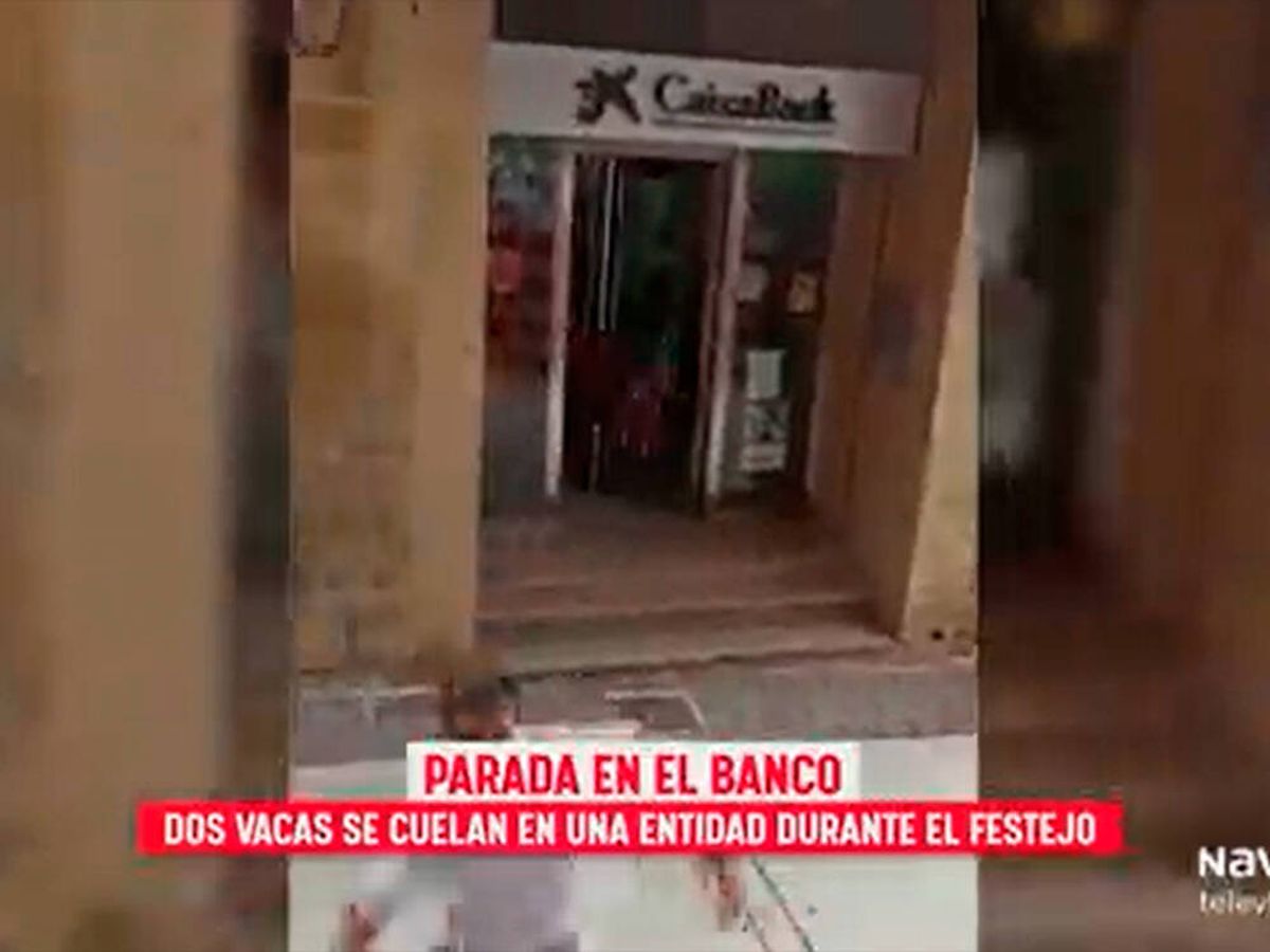 Foto: Dos vaquillas se cuelan en una sucursal de Caixabank (Twitter/@NavarraTV)