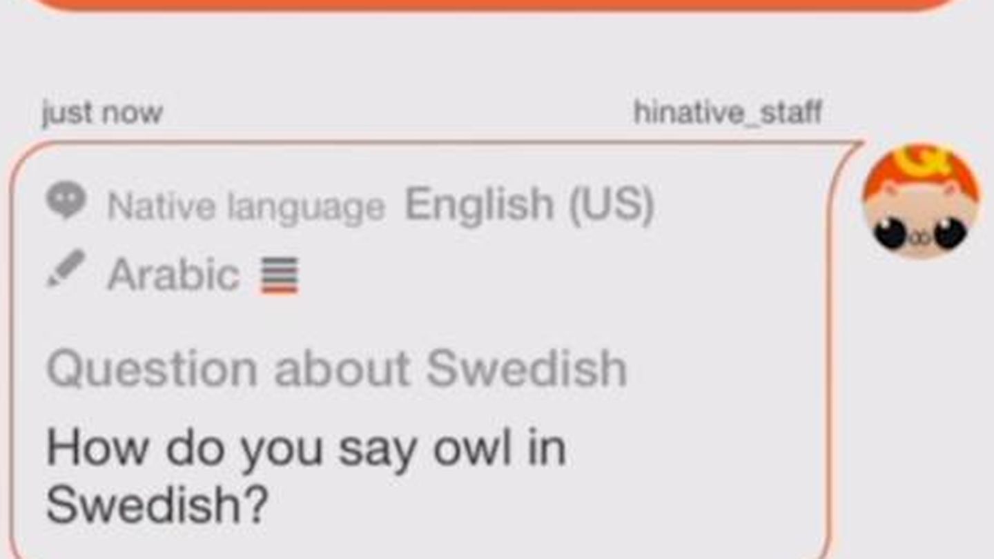 “¿Cómo se dice búho en sueco?”. La respuesta, muy pronto. (Imagen: YouTube)