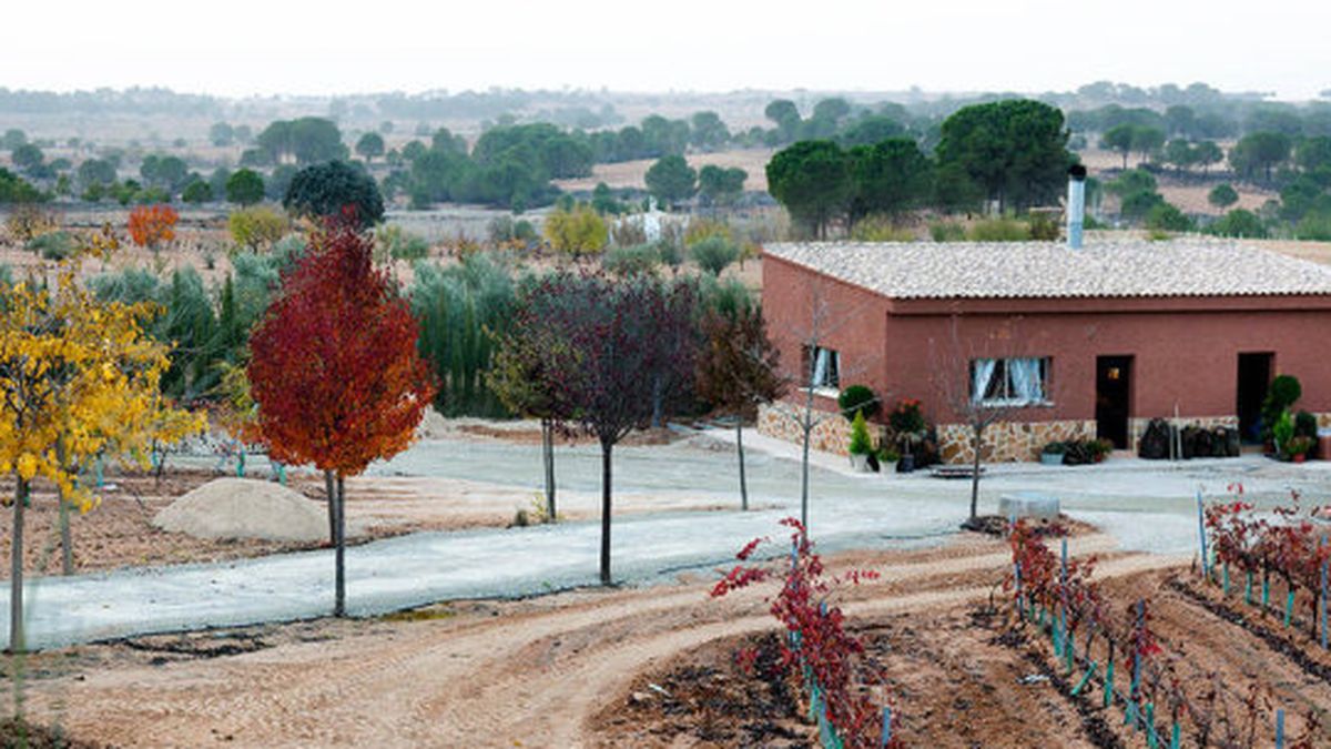 Así es la casita rural de Iniesta en Albacete