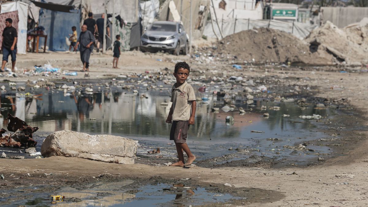La séptima plaga llega a Gaza: el regreso de la polio amenaza a toda una generación atrapada