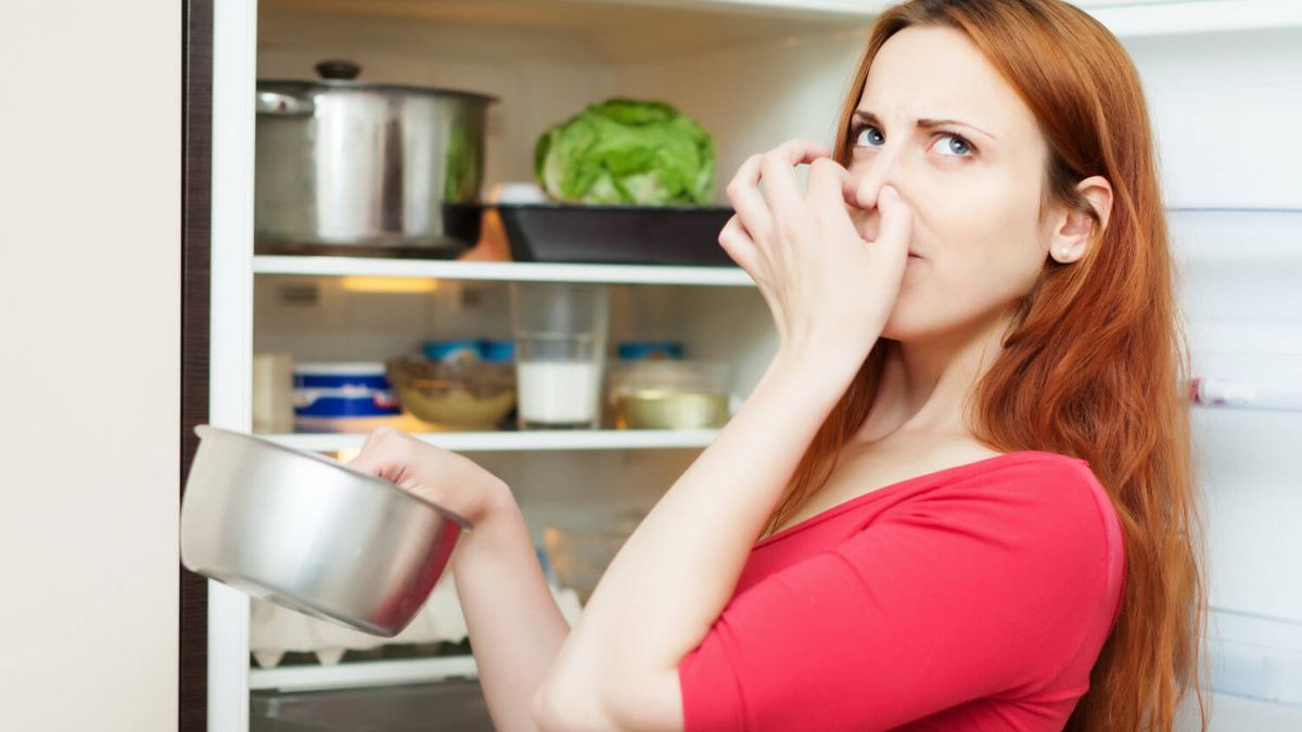 Cómo eliminar los malos olores de la nevera: solo necesitas esto que ya tienes en tu casa