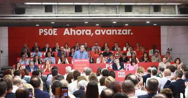 Foto: Pedro Sánchez, durante su intervención en el comité federal del PSOE. (EFE)