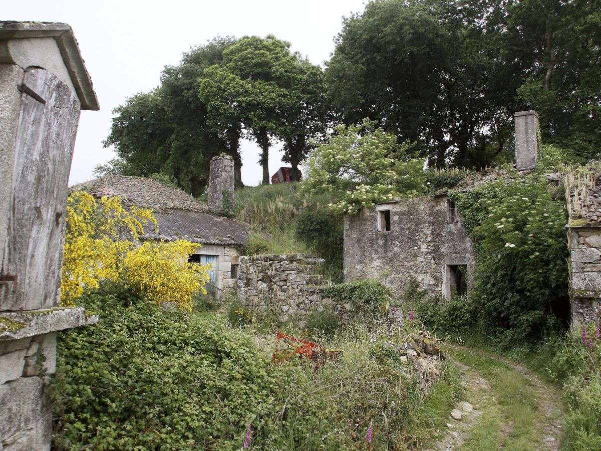 Foto: Un núcleo de casas abandonadas con un hórreo y un campo comunal en la aldea de Seixas, en la parroquia de Merlan (Lugo). (EFE)