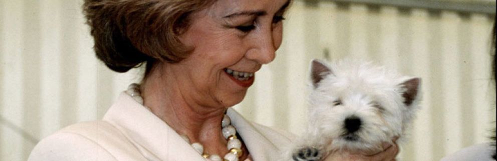 Foto: La reina Sofía, protagonista de una exposición canina