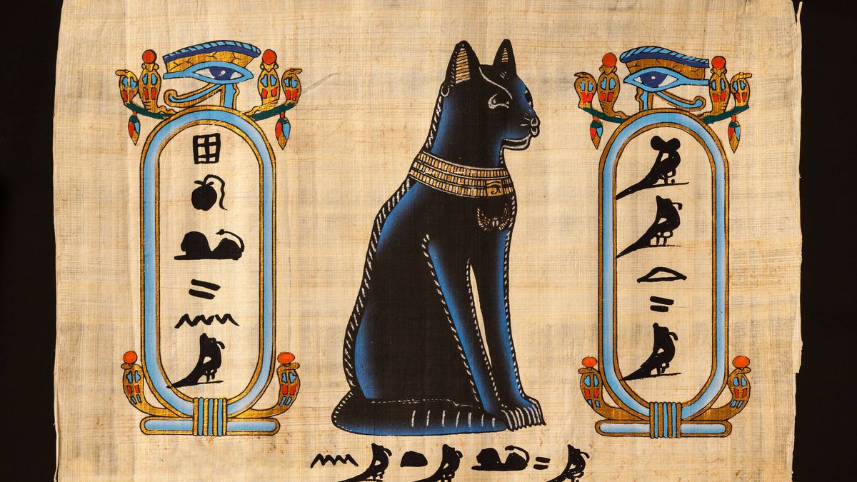plan de estudios único puerta Por qué los egipcios adoraban a los gatos?