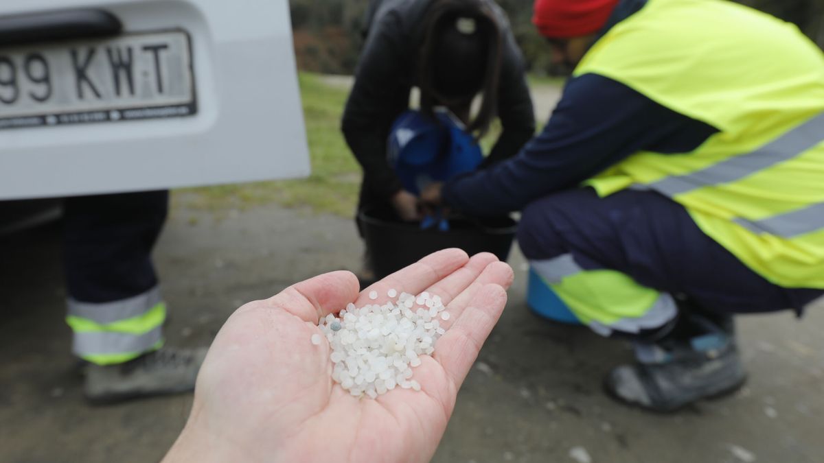País Vasco activa el plan especial de Emergencia ante la previsible llegada de 'pellets'