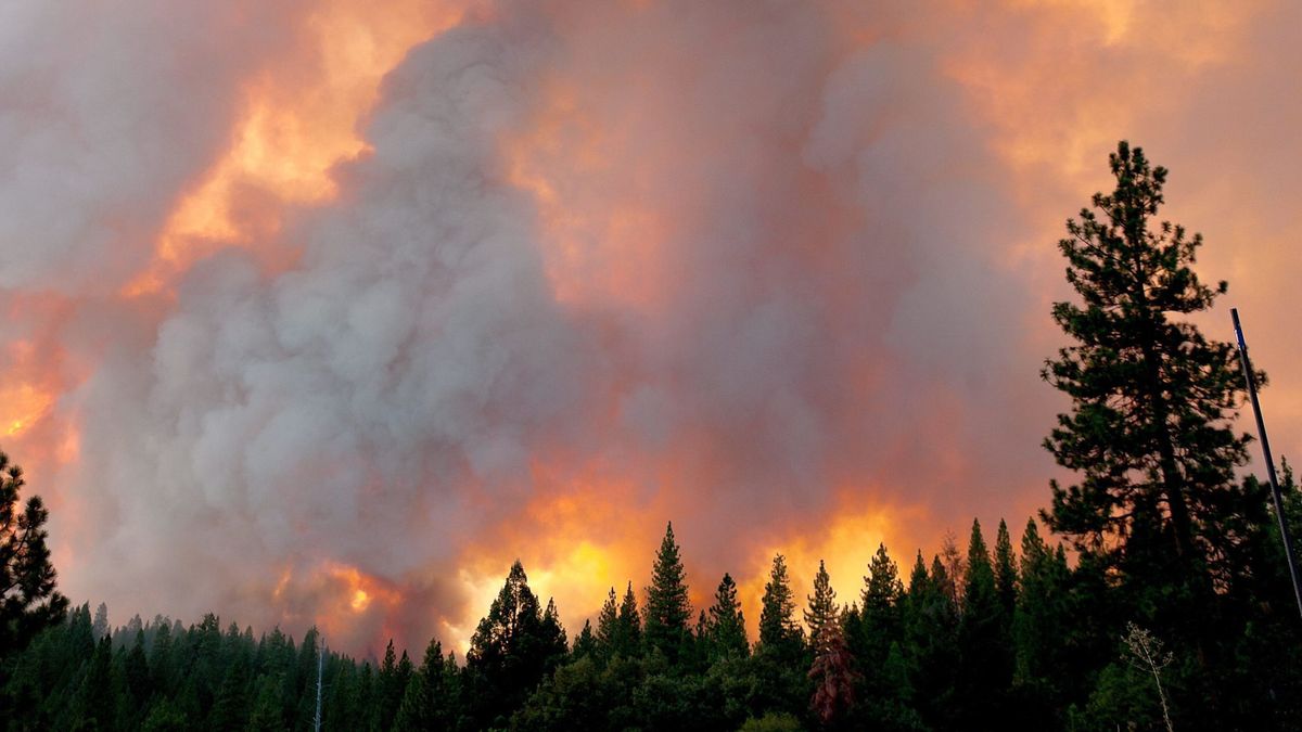 Más de 400 personas, evacuadas de sus casas por los incendios en California