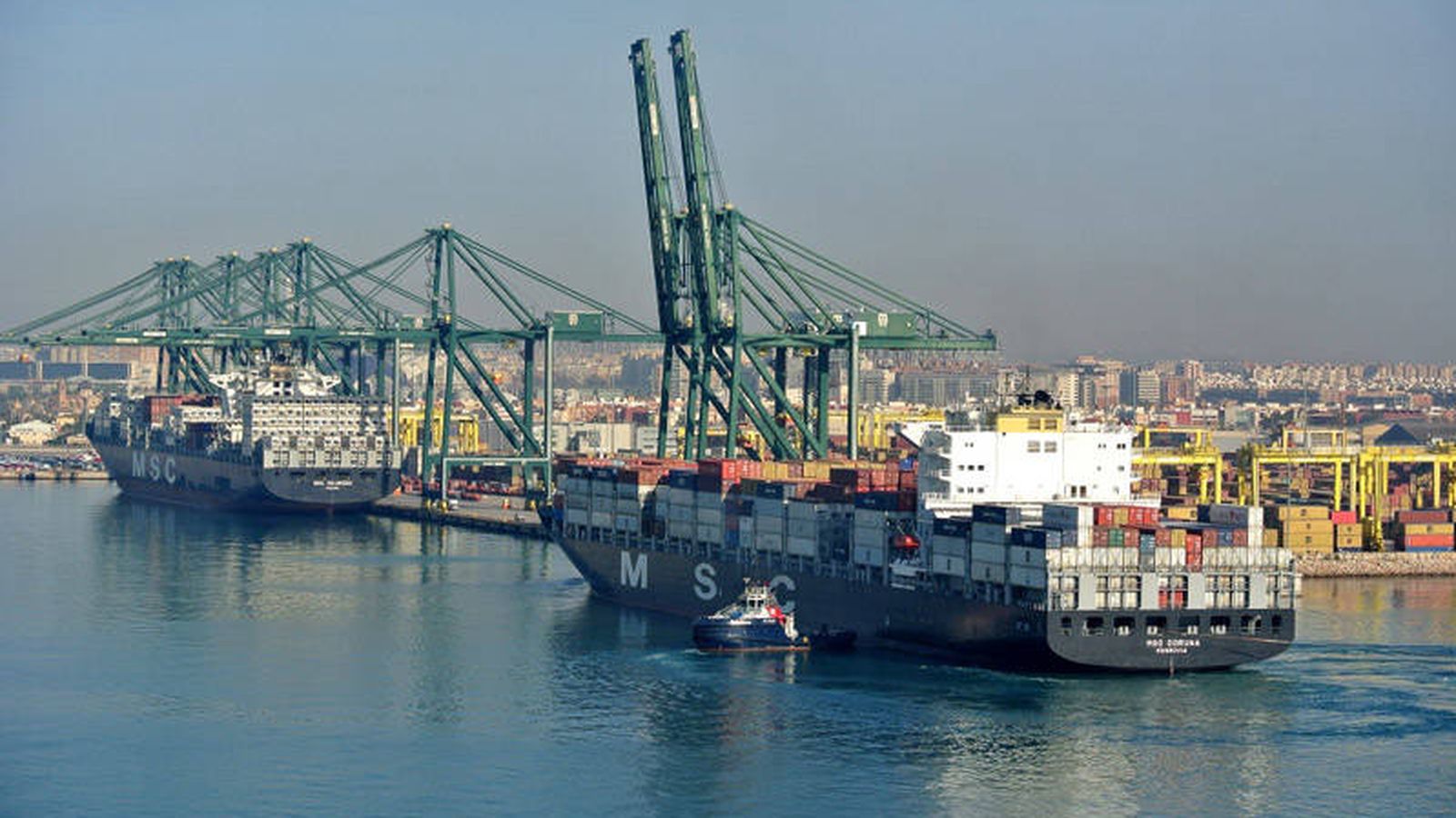 Foto: Cargueros de MSC en el Puerto de Valencia.