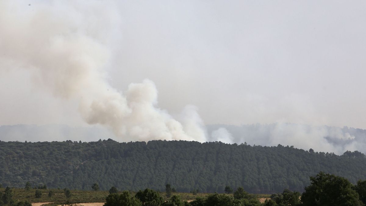 Cinco incendios activos queman ya 500 hectáreas de pino en una reserva de Zamora