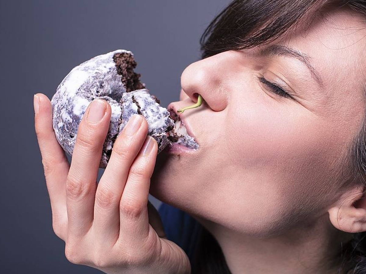 Foto: La comida basura seduce a nuestro cerebro. Foto: Pixabay.