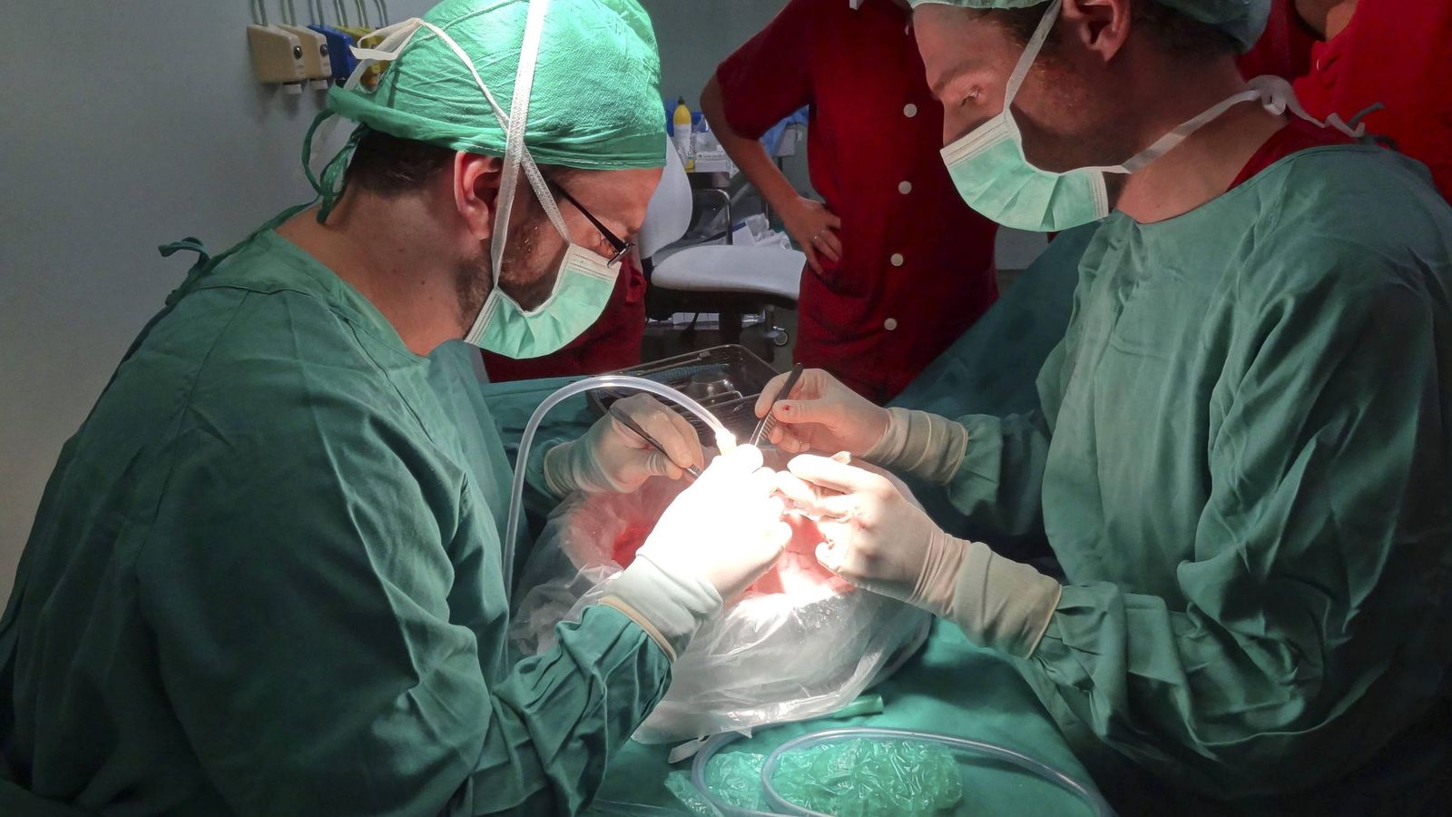Foto: Fotografía facilitada por el hospital de La Paz del primer trasplante pulmonar infantil realizado en España. (EFE) 