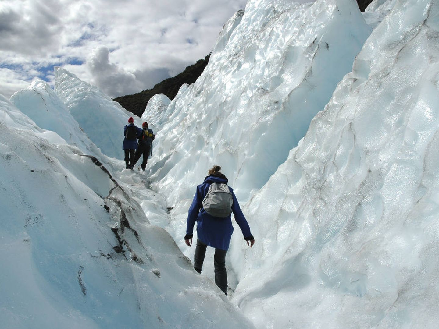 Glaciar Franz Josef, Nueva Zelanda