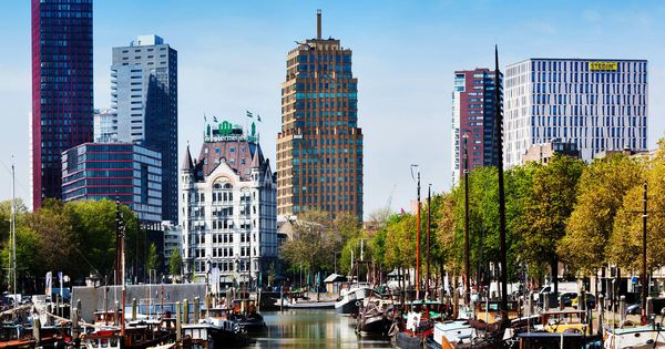 Foto: Imagen del skyline de Rotterdam. (iStock)