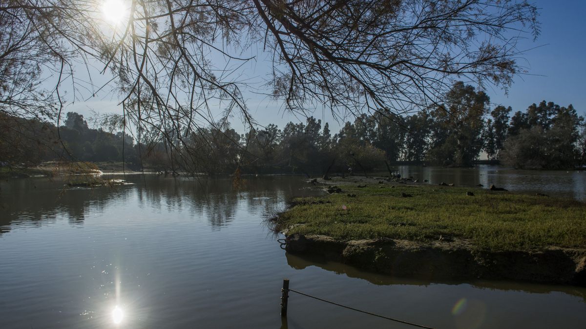 Las 'plagas' que azotan Doñana: el problema es el agua, no el fuego
