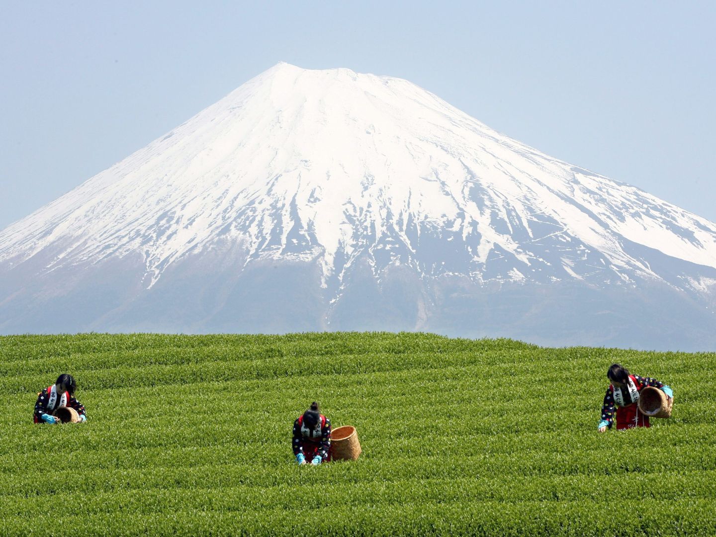El Monte Fuji. (Reuters) 