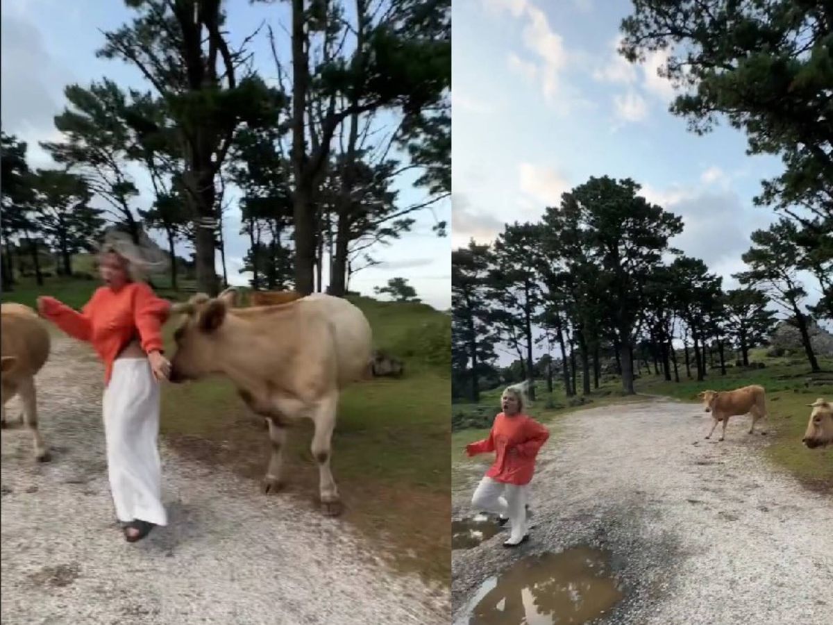 Foto: Una de las dos vacas embiste por la espalda a la chica, con tanta fuerza que esta cae al suelo. (Tiktok/(@noemartosr)