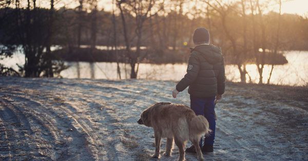 Foto: Un niño con su perro (Pexels)
