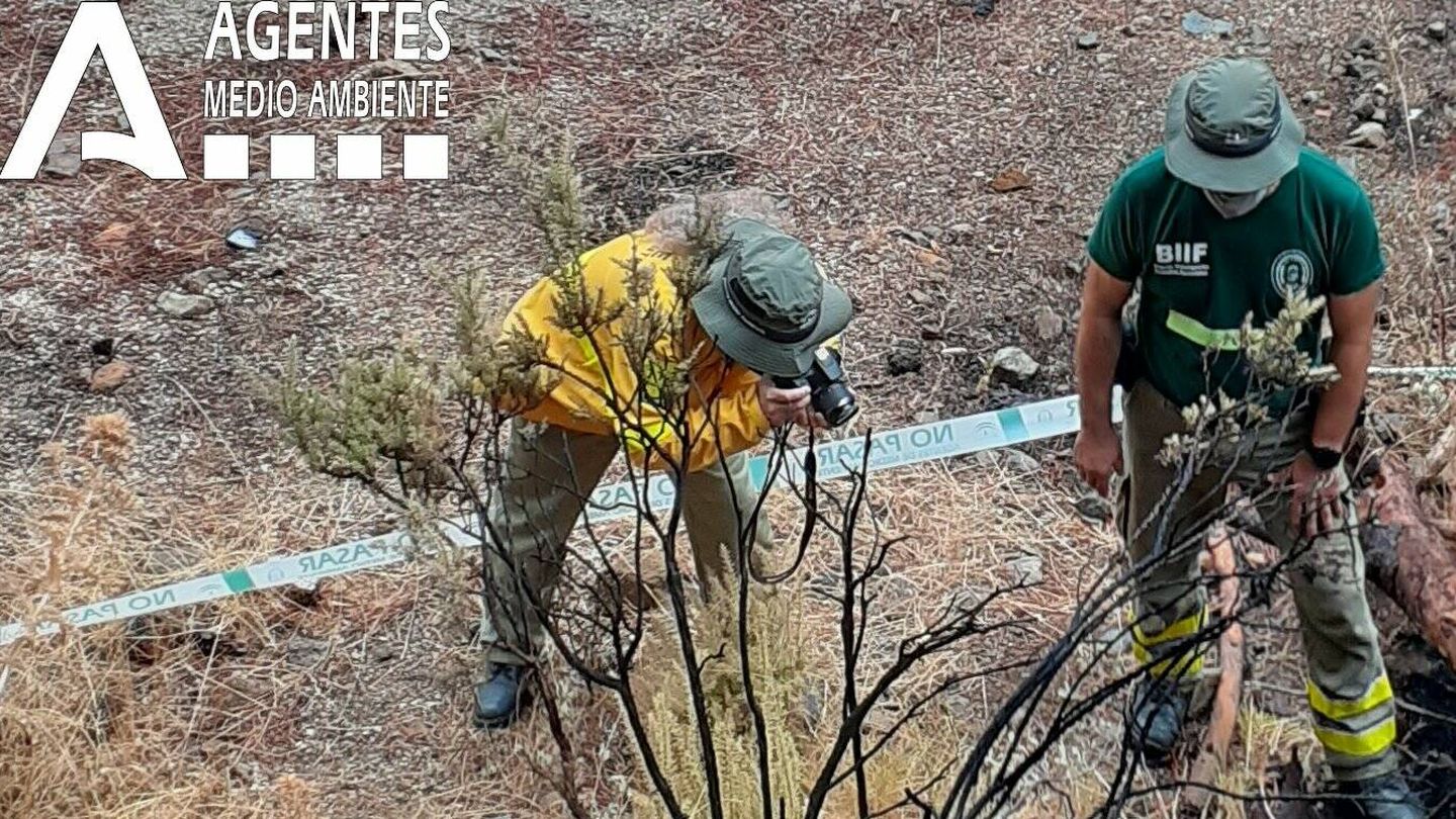 Los agentes de Medio Ambiente han realizado varias inspecciones oculares. (Junta de Andalucía)