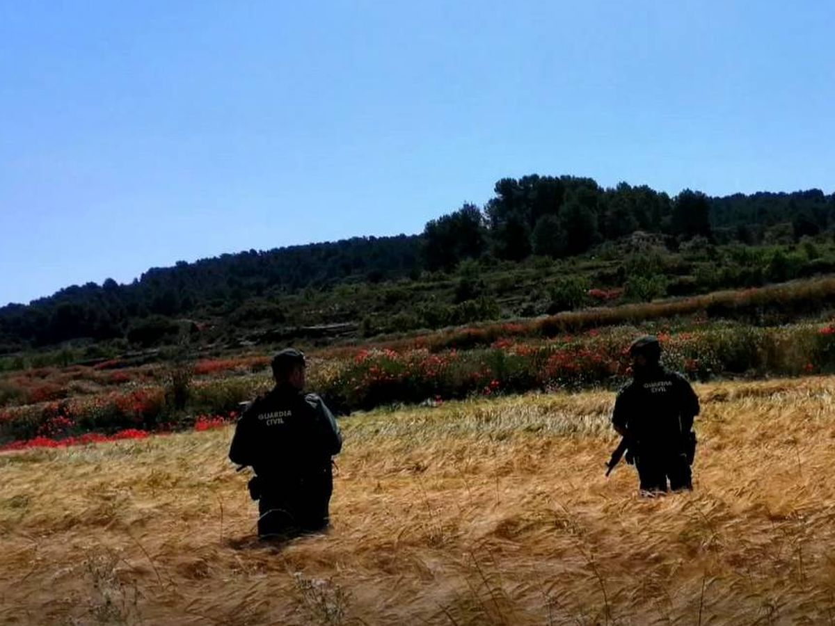 Foto: Dispositivo de búsqueda de la Guardia Civil para localizar al 'Rambo de Requena'. Foto: Efe