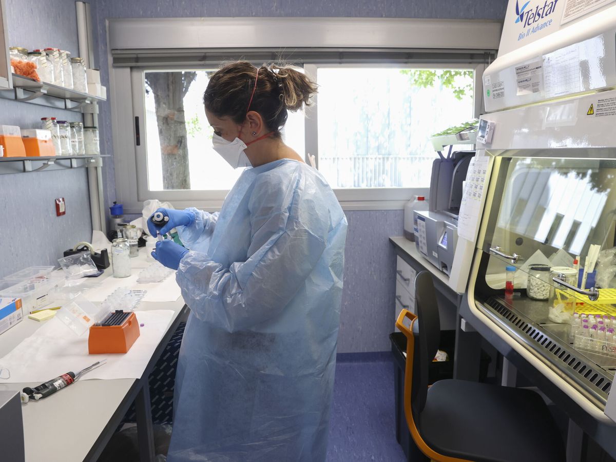 Foto: Investigadores del Instituto de Salud Carlos III logran el primer borrador de la secuencia completa del virus causante de la viruela del mono ('Monkey Pox'). (EFE/Kiko Huesca)